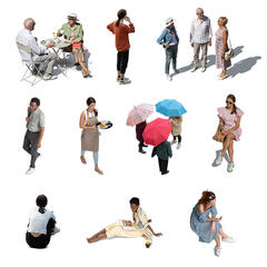 Birds Eye Collection 6