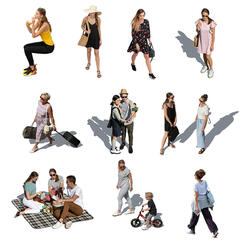 Birds Eye Collection 6