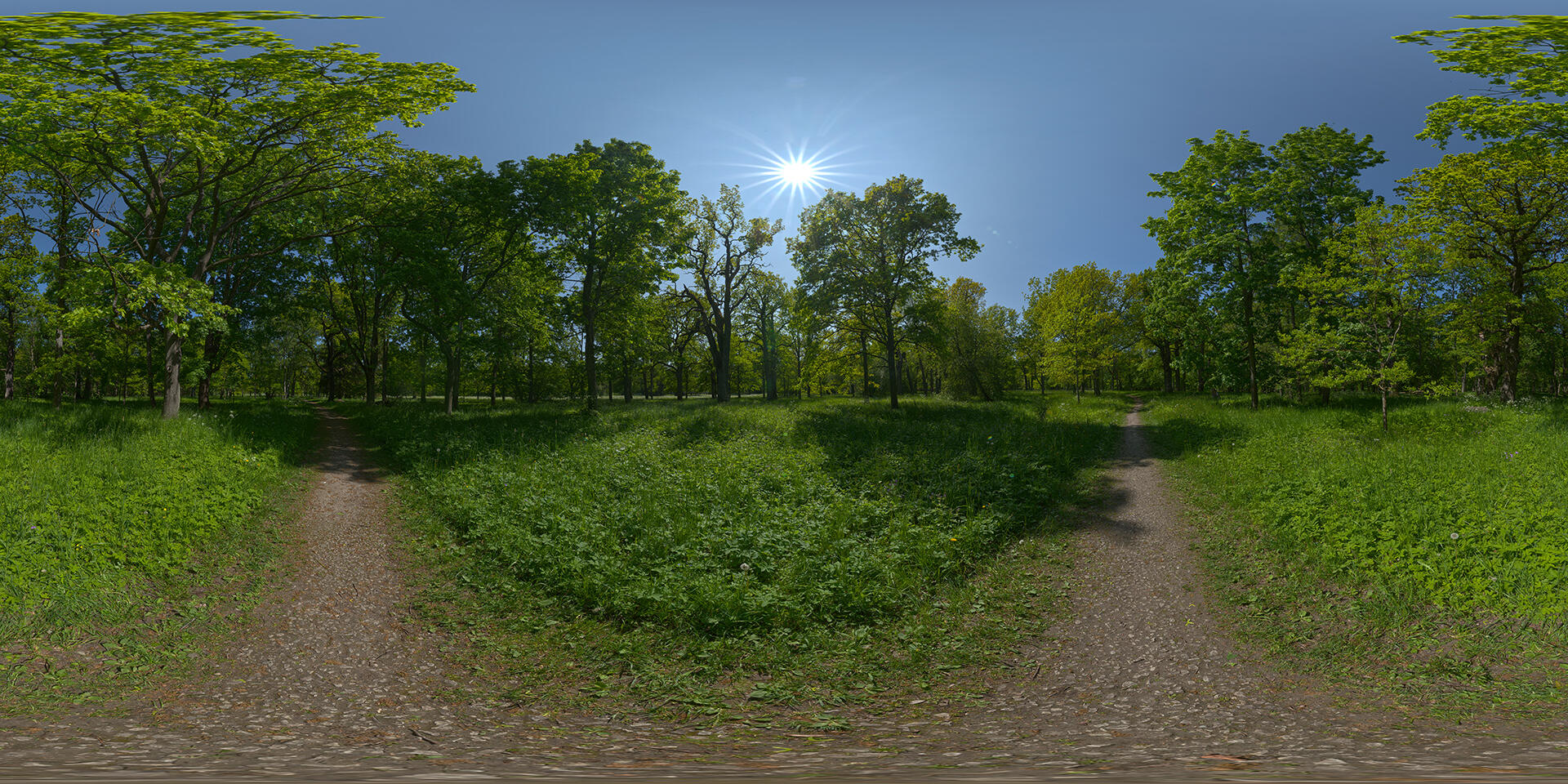 HDRI-panorama-of-a-park-in-summer-in-sunlight