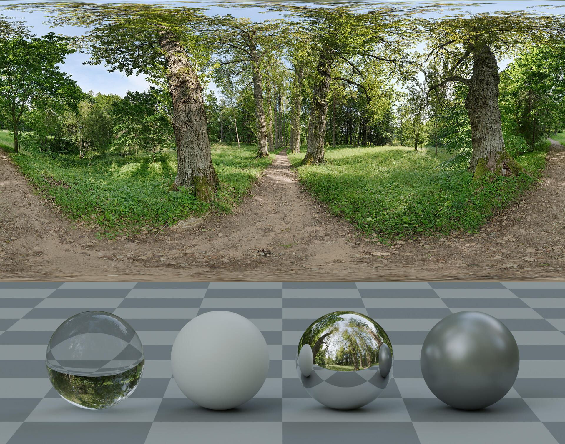 HDRI panorama of a park with old trees