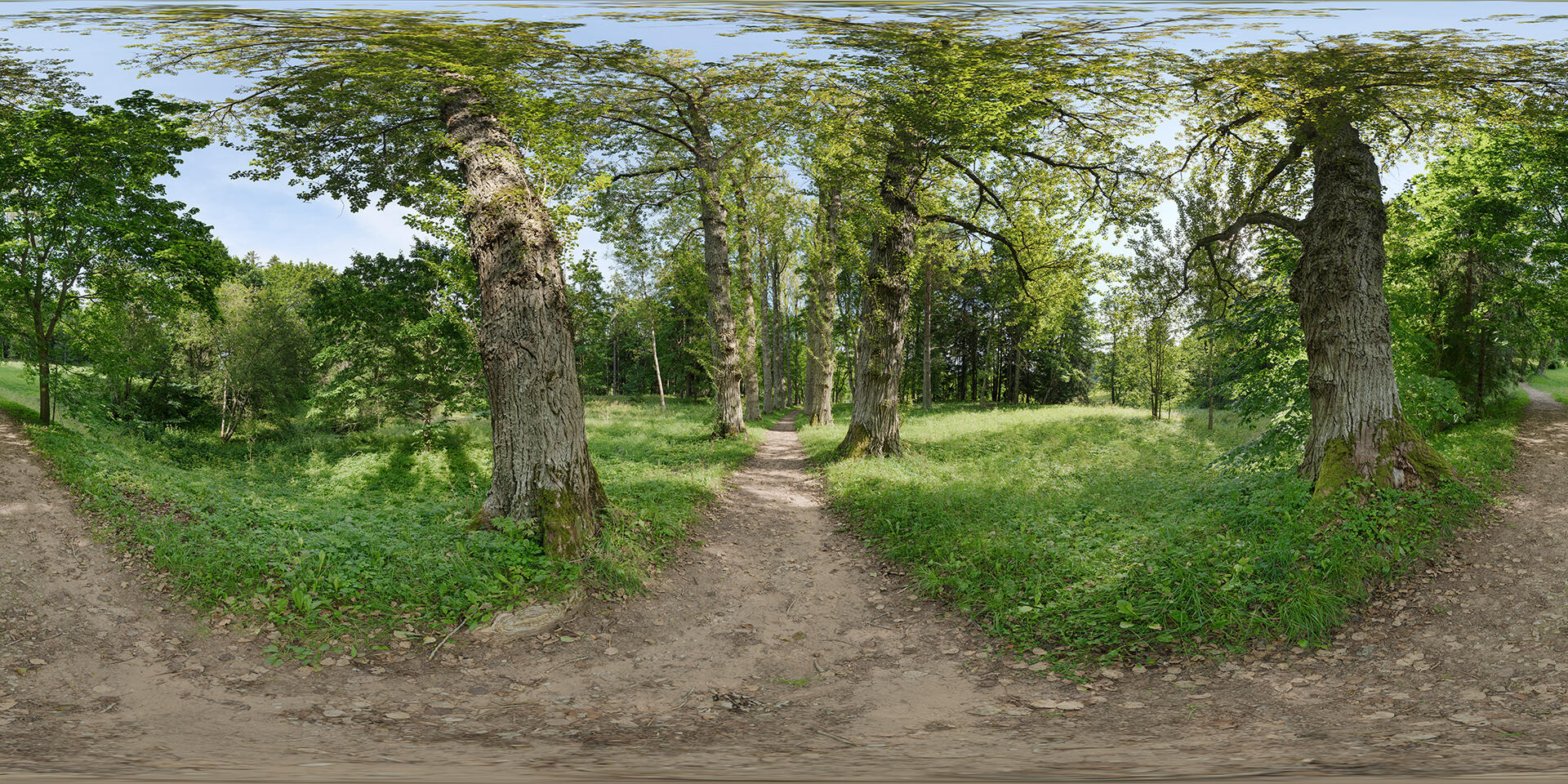 HDRI-panorama-of-a-park-with-old-trees