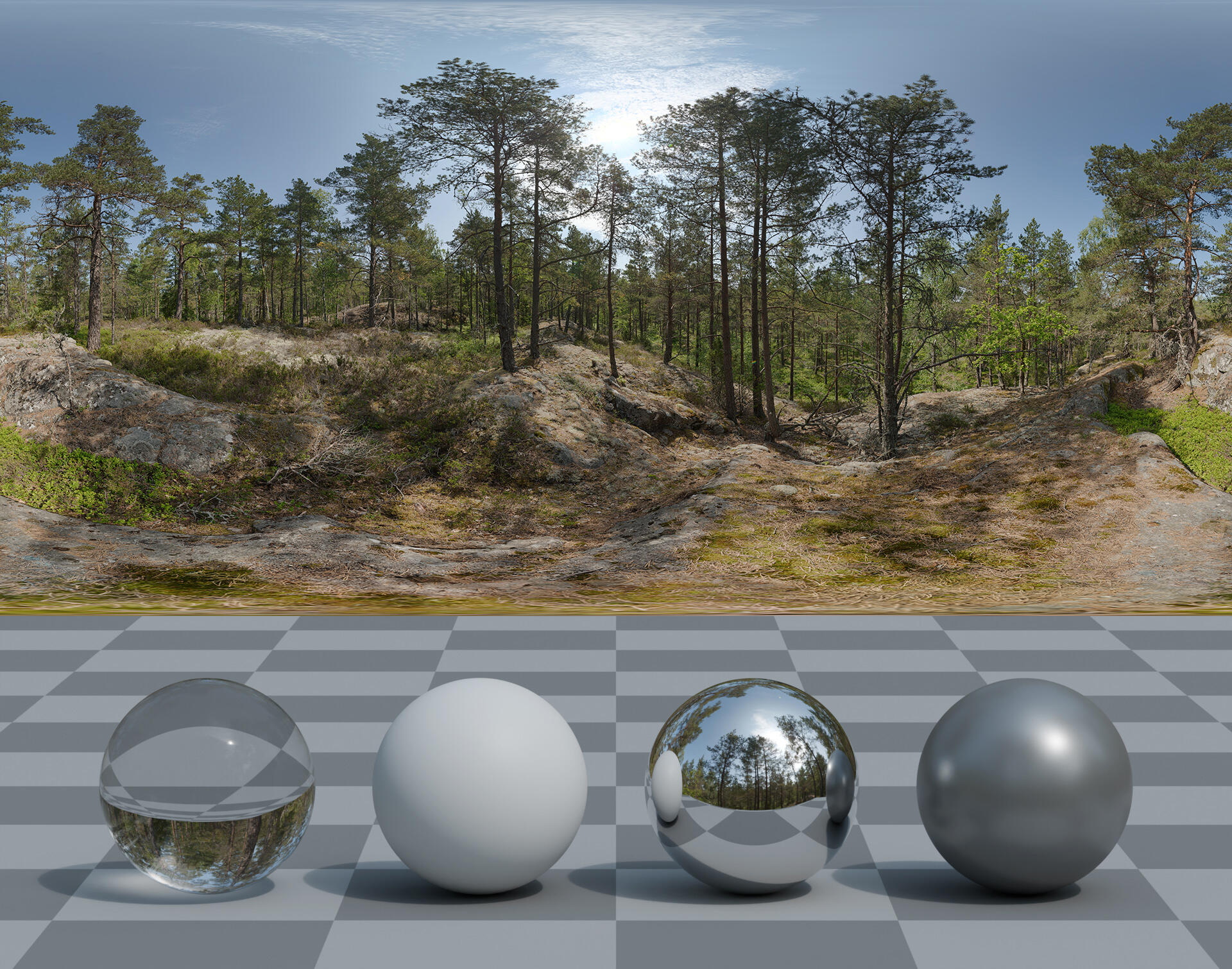 HDRI panorama of a rocky forest