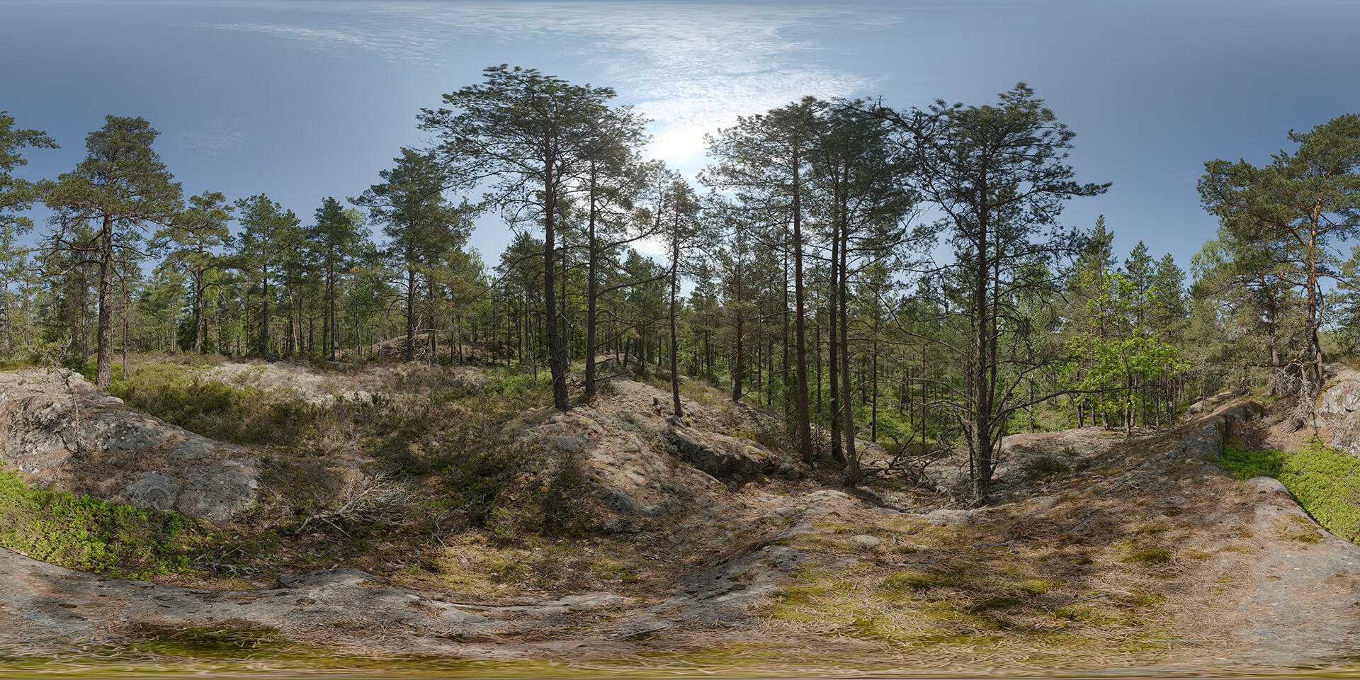 HDRI-panorama-of-a-rocky-forest