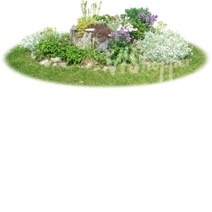 small flowerbed with different flowers