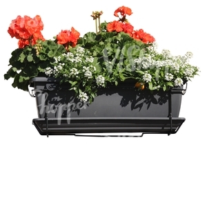 red and yellow flowers inside a pot