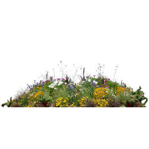 cut out foreground flowerbed