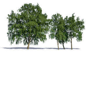 cut out group of four trees