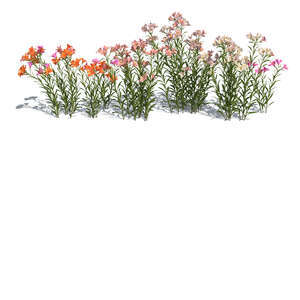 rendered image of a group of blooming lilies