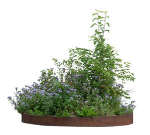 cut out round flowerbed with different flowers 