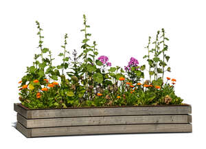 flowerbed in wooden crate