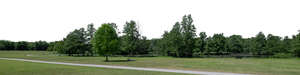 pathway in a park