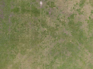 bird-eye of image of low grass