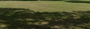 mowed lawn with tree shadows