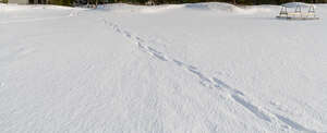 field of snow with a single row of footprints