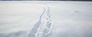 field of snow with footprints