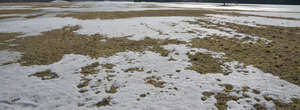 large field of grass in early spring with melting snow