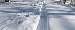 small snowy pathway in park
