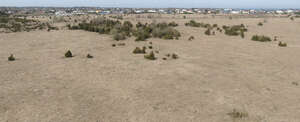 top view of a dry grassland with some bushes