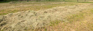 mowed hay