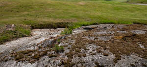 large granite rock in a field of grass