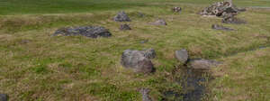 grassy area with rocks