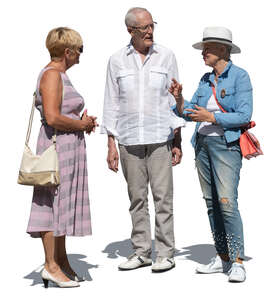cut out group of elderly people standing and talking