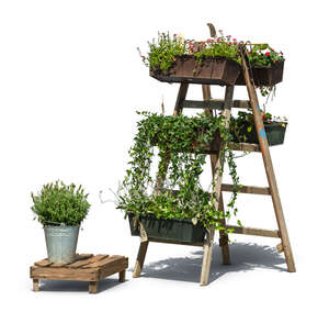 cut out composition of different plants