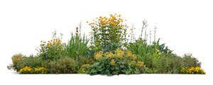 cut out large flowerbed in yellow colours