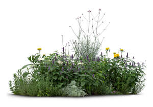 cut out composition of plants and flowers