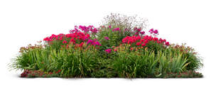 large flowerbed with red and orange flowers