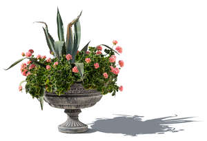 composition of plants and flowers in a historical pot