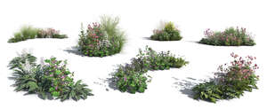 cut out rendered groups of plants