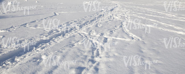 field of snow woth a narrow footpath