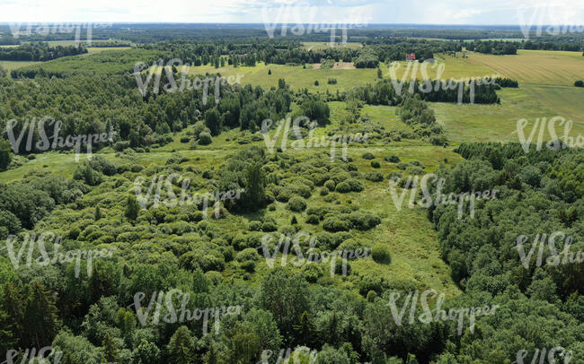 aerial view of a landscape with trees and bushes