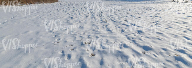 snowy field with some tracks