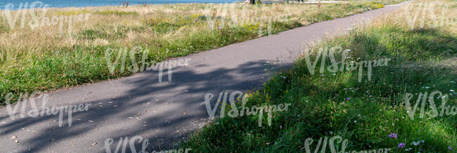 small road with tree shadows in the countryside 
