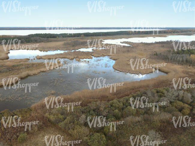 top view of a seashore with reed