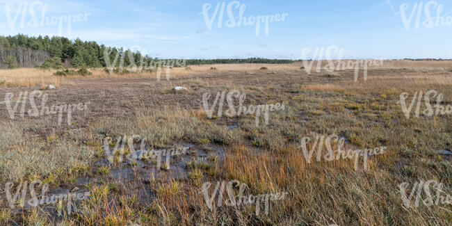 wet land by the sea in autumn
