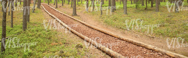 a forest pathway covered with mulch