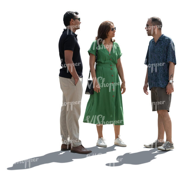 cut out group of people in backlight standing and talking