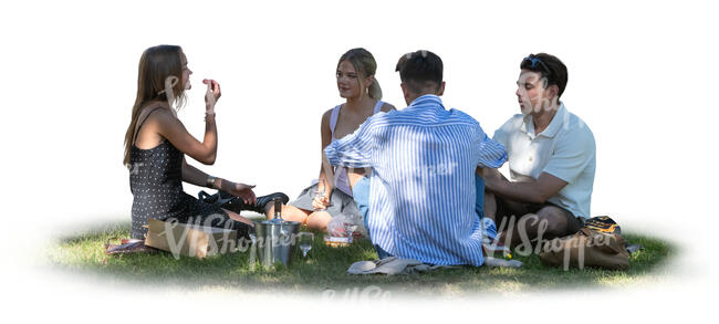 cut out group of young people sitting in the park on the grass in the tree shade