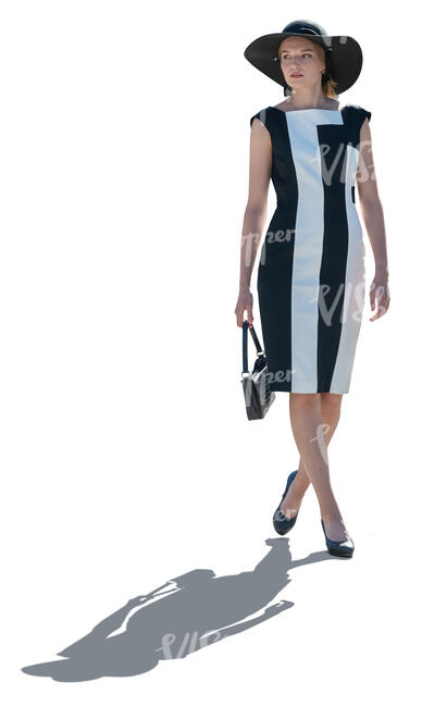 cut out elegant lady in black and white dress standing in backlight