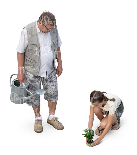 little girl planting flowers with her grandfather