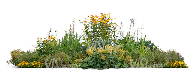 cut out large flowerbed in yellow colours