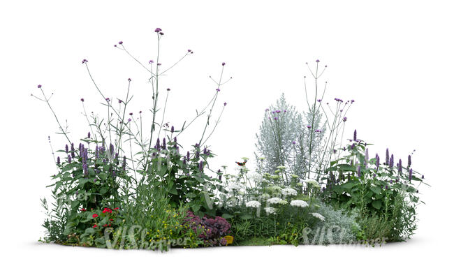 cut out flowerbed with purple and white flowers