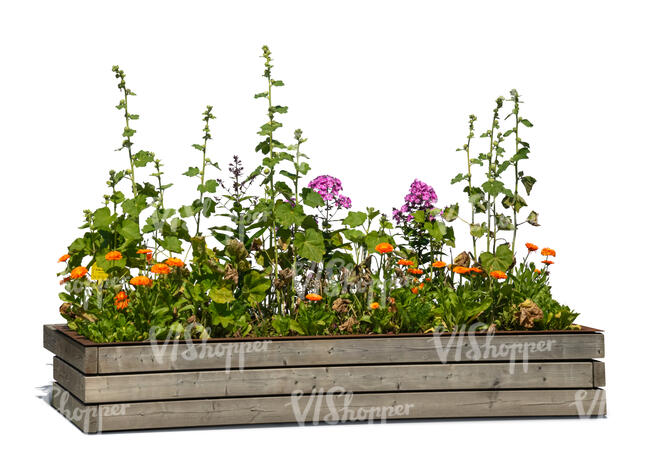 flowerbed in wooden crate