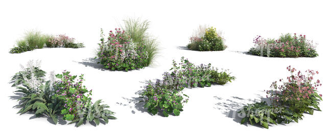 cut out rendered groups of plants